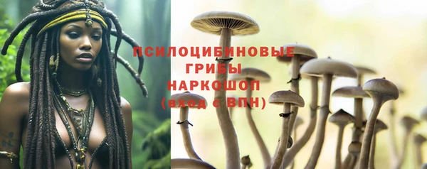 скорость Алексин